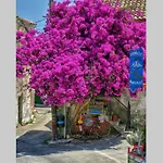 Διαμέρισμα Traditional House With Amazing View *