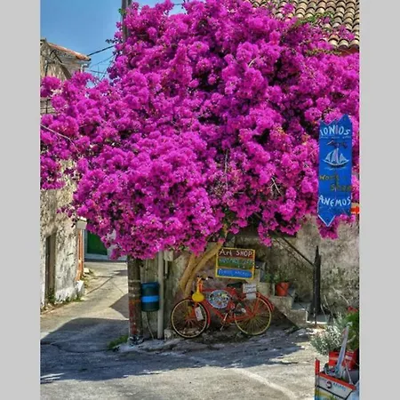 Apartmán Traditional House With Amazing View *